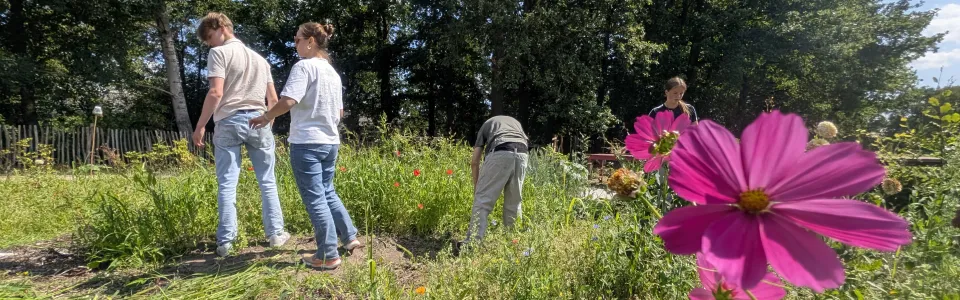 Tieners wandelen samen door een zonnige bloementuin op kamp