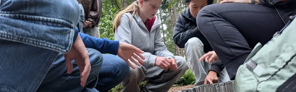 Tieners bouwen samen met blikjes in het bos tijdens jeugdkamp