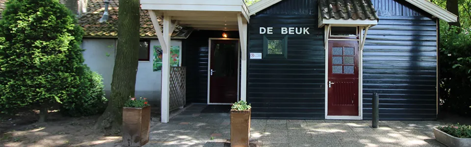 Slaapzaal met metalen stapelbedden in accommodatie De Beuk