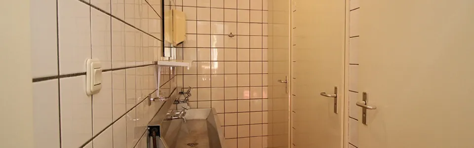 Grote lichte eetzaal met houten plafond, dakramen en eettafels in De Eik