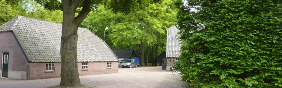 Buitenterras en erf van De Houtkamp met picknicktafels