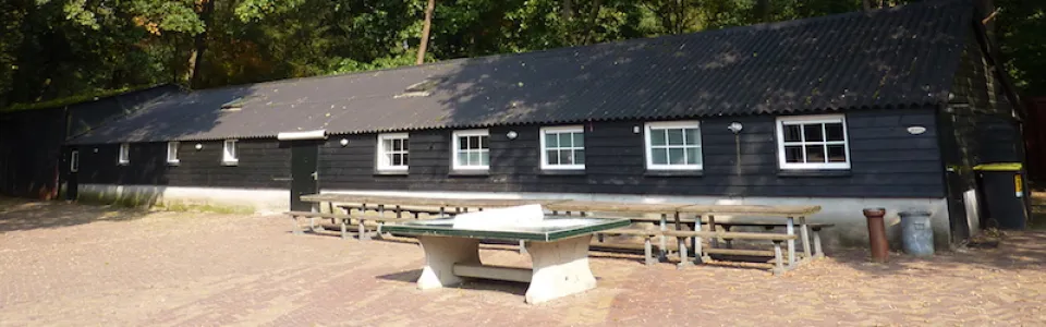 Speelweide direct grenzend aan het bos in Otterlo